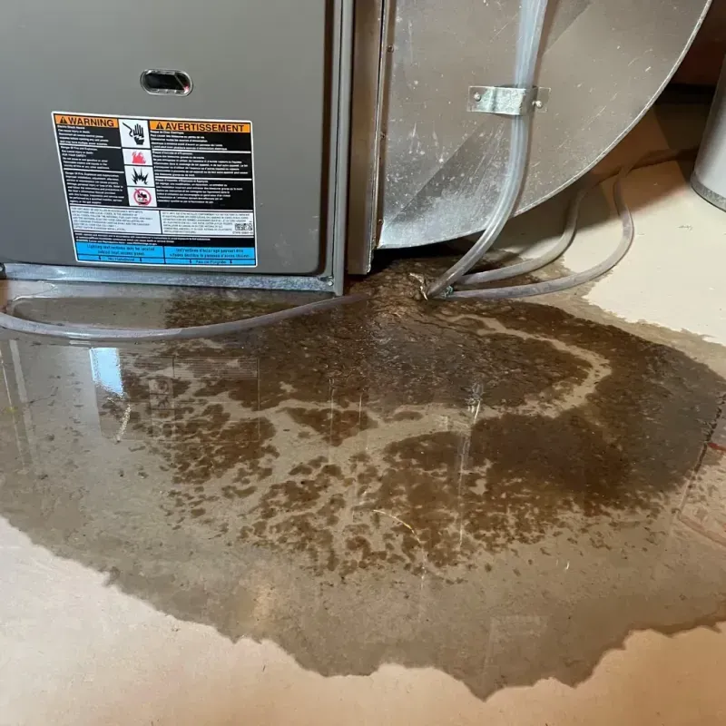 Appliance Leak Cleanup in Doniphan, MO